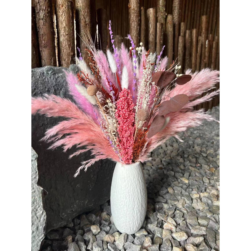17'' Pampas Grass Plant