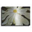«White Flower» par Dennis Frates-185600226