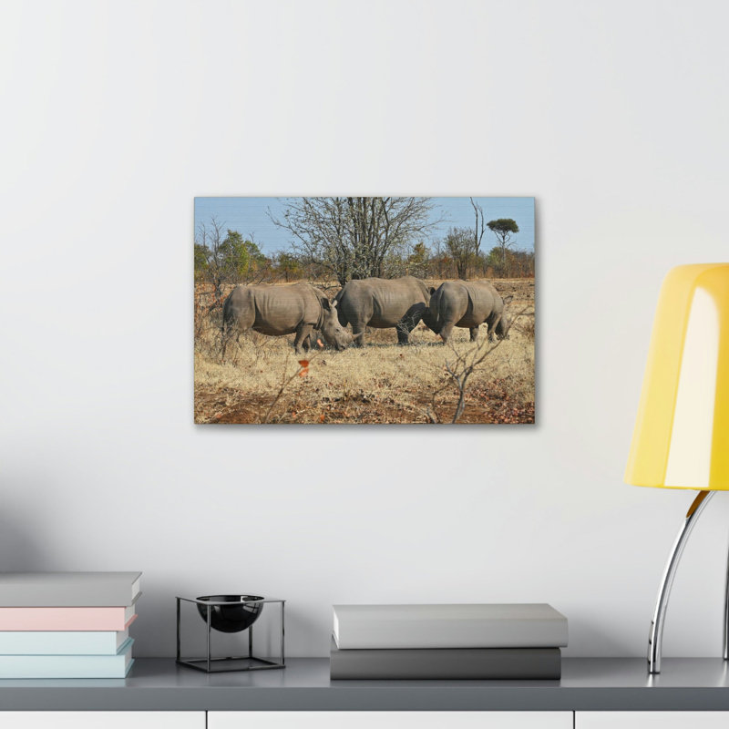 Rhinoceros Group Rhinoceros
