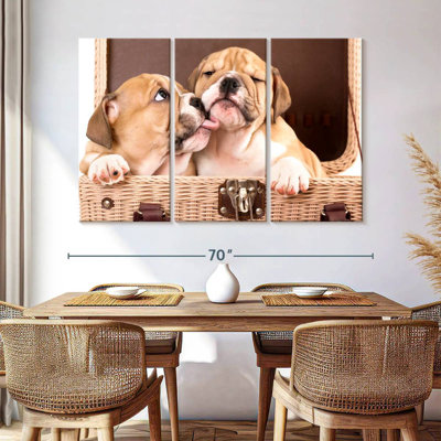 Bulldog Siblings