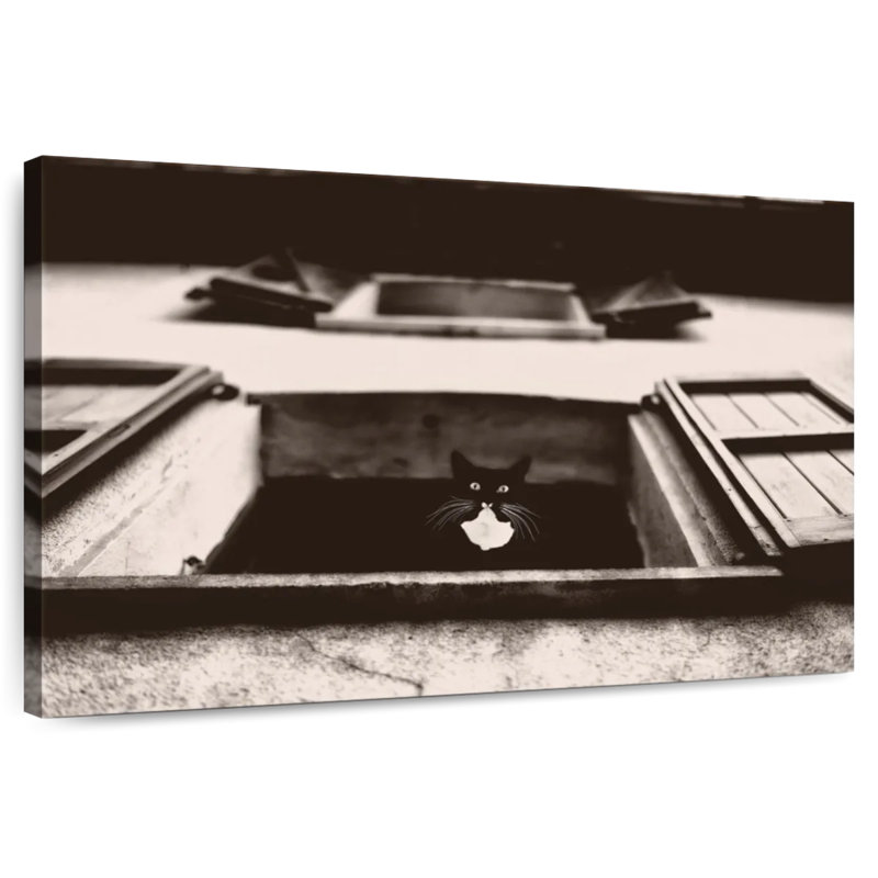 Crowle Dali The Cat Photography, 26" H x 39" W
