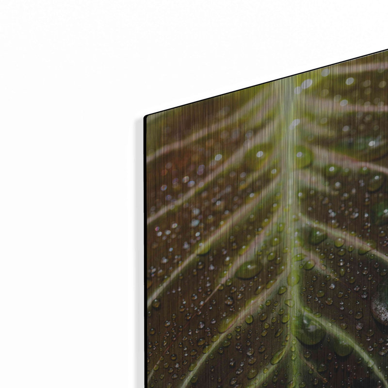 «Morning Dew» par Luxe, H 16 po x l 12 po