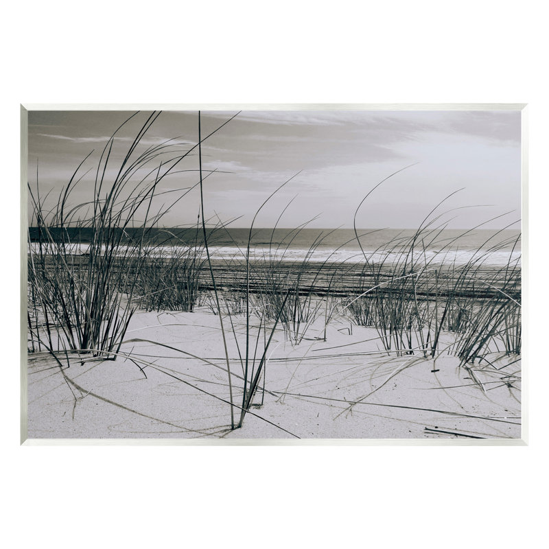 «Subtle Beach Reeds» par GraffiTee Studios, H 13 po x l 19 po