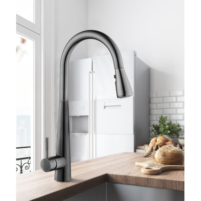Rovogo Kitchen Faucet
