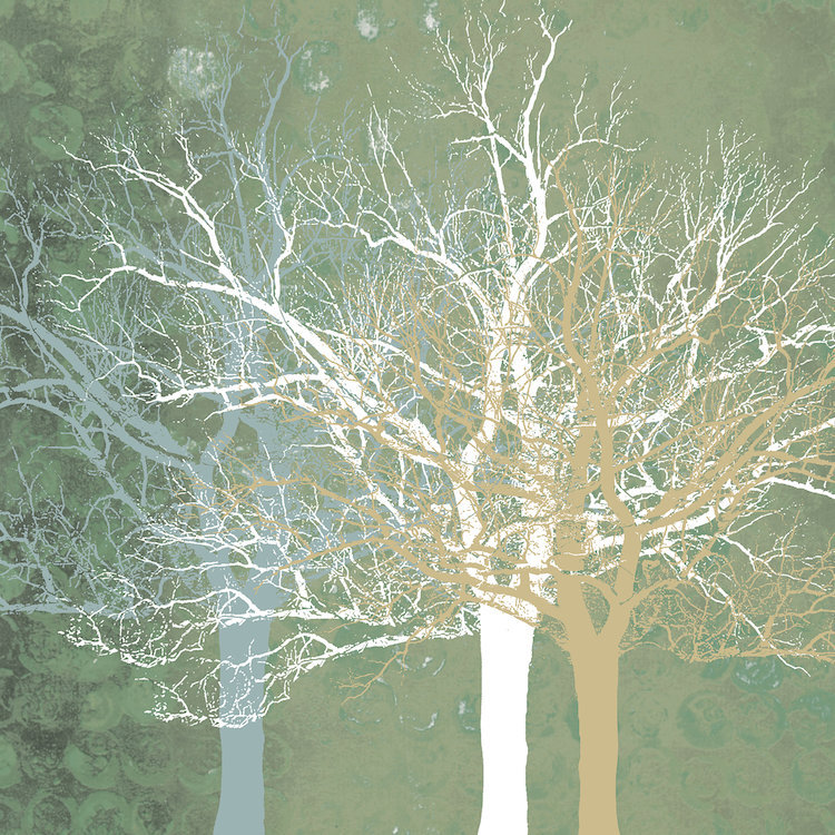«Quiet Forest» par Erin Clark - Estampe numérique sur toile tendue avec châssis, H 26 po x l 26 po x P 1,5 po