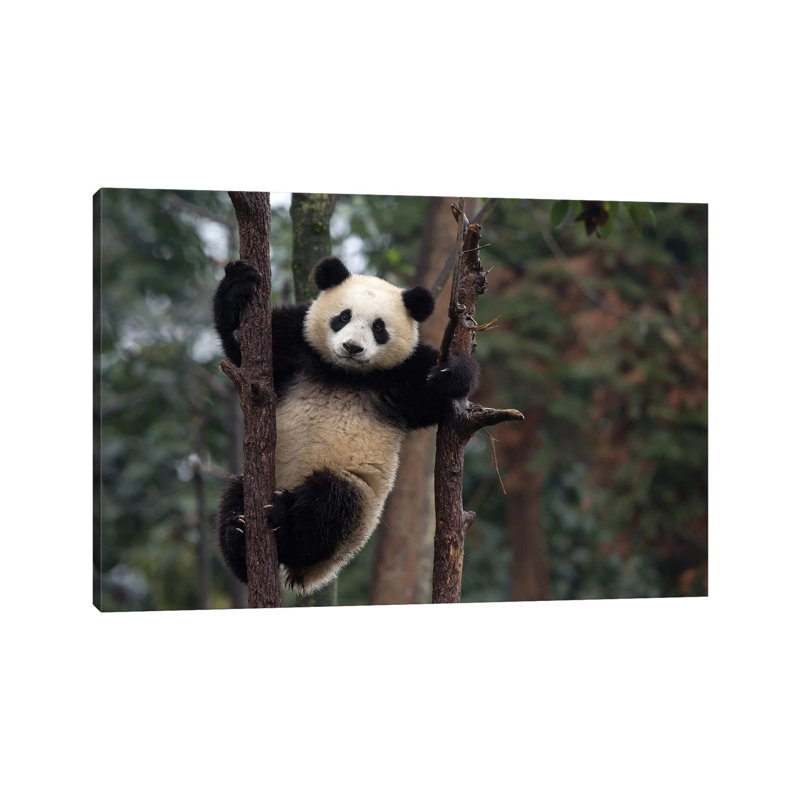 Reaching The Top 1 Piece Wrapped Canvas Wall Art, 20.32 cm H x 30.48 cm W x 1.91 cm D