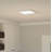 Quoizel LED Flush Mount-2022655311-2022655310