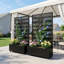 Planter Box-1351856873-1351856876