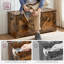 Deziree Storage Bench-344916761-344916762