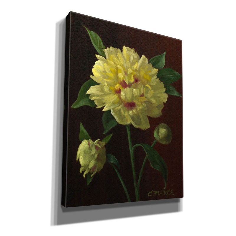 Pivoine jaune sur toile par Christopher Pierce, H 16 po x l 12 po x P 0,75 po