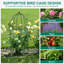 Grow By Plant Support-109019019