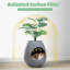 Polyethylene Plastic Litter Box-213346340
