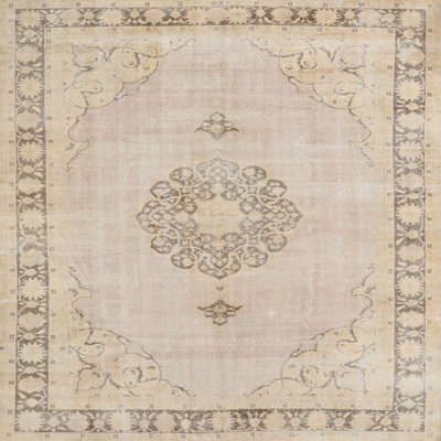 Oriental Indoor Rug