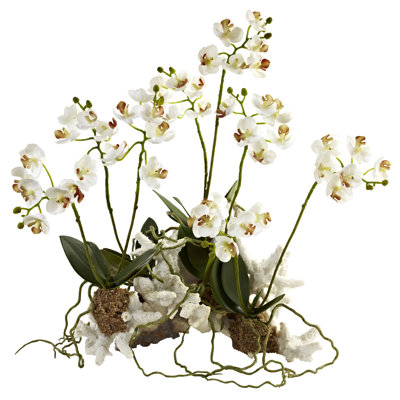 Orchids Arrangement in Free-Standing