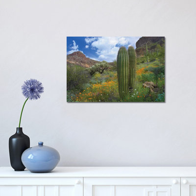 Saguaro Amid Flowering Lupine, California Brittlebush, Organ Pipe Cactus National Monument, Arizona and Desert Golden Poppies II 1 Piece Wrapped Canvas Wall Art