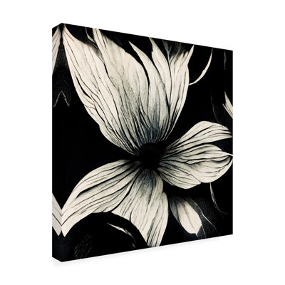 Mazola by Ansel Adams Print
