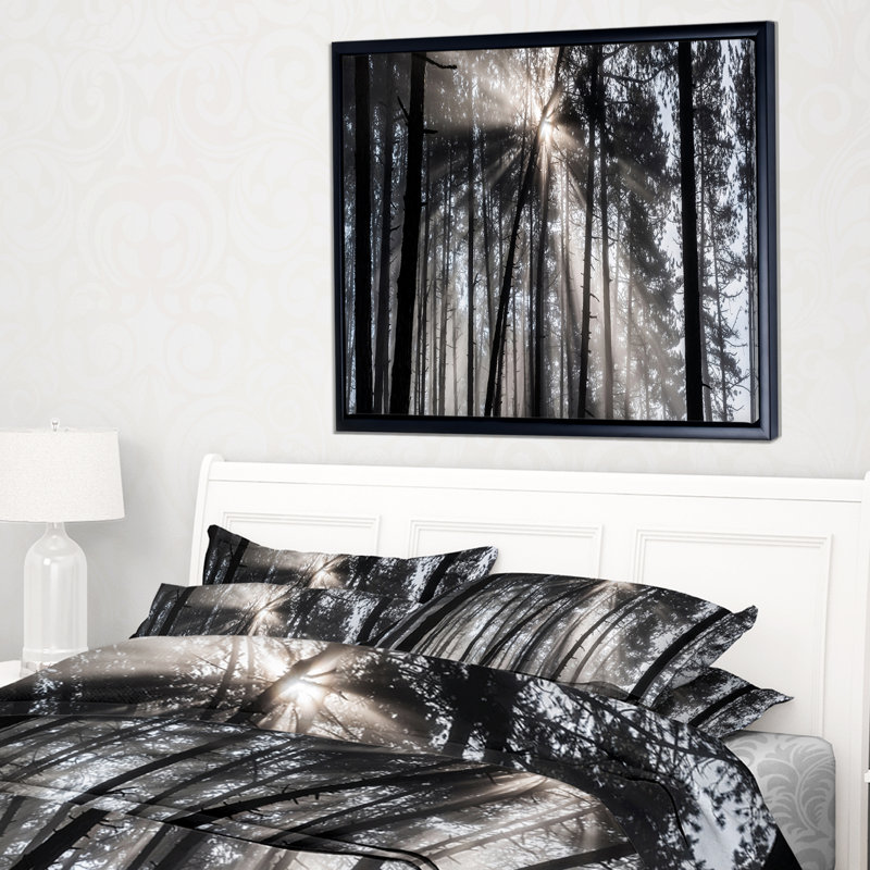 «Sunbeam Through Black White Forest», photographie, H 12 po x l 20 po x P 1 po, Toile avec cadre flottant