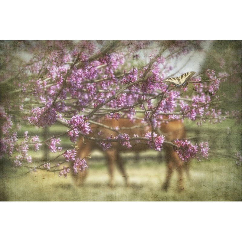 Spring Has Sprung by PHBurchett - Photograph, 61 cm H x 91 cm W, Wrapped Canvas
