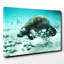Manatee Photographic - Wrapped Canvas-19090864