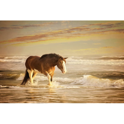Sunkissed Horses V 1 Piece Wrapped Canvas Wall Art