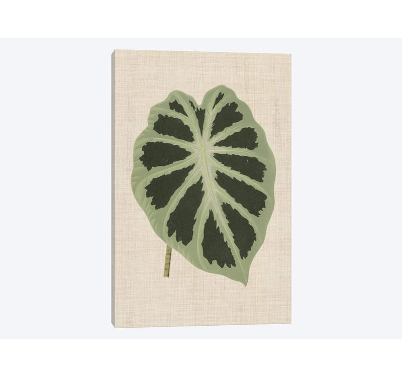 «Leaves on Linen II», impression sur toile, H 60 po x l 40po x P 1,5 po, Toile tendue, Pas de tapis