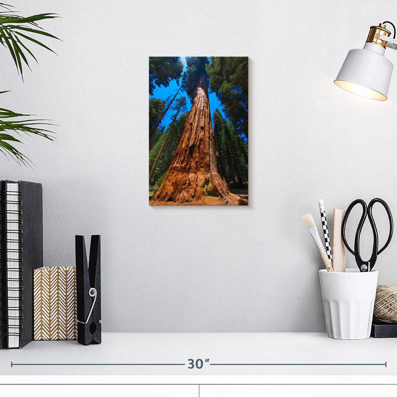 Alvord Towering Sequoia Tree, 12" H x 8" W