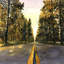 Long Road - illustrative paysages, reproduction encadrée-121072896-121072895
