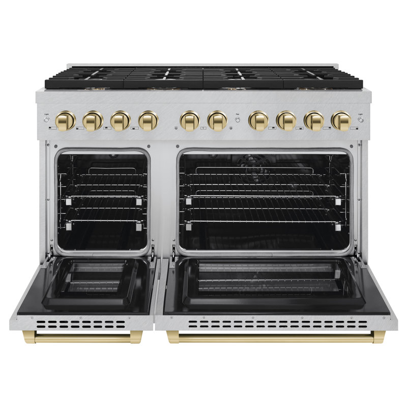 ZLINE Autograph 48" Paramount Dual Fuel DuraSnow® Range w/ White & Black Accents (SDRSZ-WM-48-MB), Stainless Steel