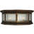 Glass Flush Mount