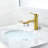 Tubize Single Hole Bathroom Faucet-82037180
