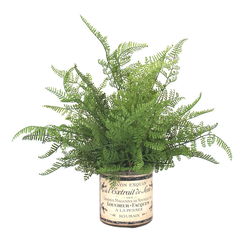 Fausse fougère dans un vase en verre