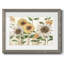 Sunflower Surprise, reproduction d'art encadrée-1633541285-1633541289