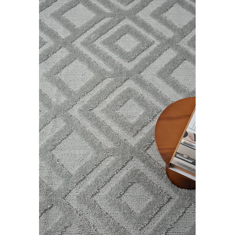 Premium Grey Area Rug, 31.5 x 59.1 Inches | 100% Polypropylene, 1.7 lbs/sq ft Pile Height 0.7 Inches | Machine Woven, Non-Slip Dot Underside, Antibacterial | Perfect for Living Room, Bedroom & Office Decor