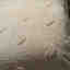 Photos des clients 3 de 3