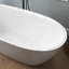 Baignoire de trempage autoportante en acrylique 67 po