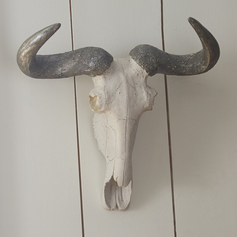 Steelside™ Faux Taxidermy Wall Decor & Reviews 