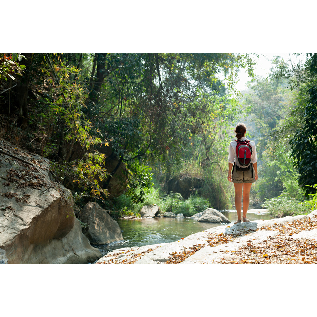 Frau mit Rucksack Trekking im Regenwald von FredFroese - No Frame Print on Canvas