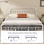 Hidalgo Metal Platform Bed-196271121-196271130