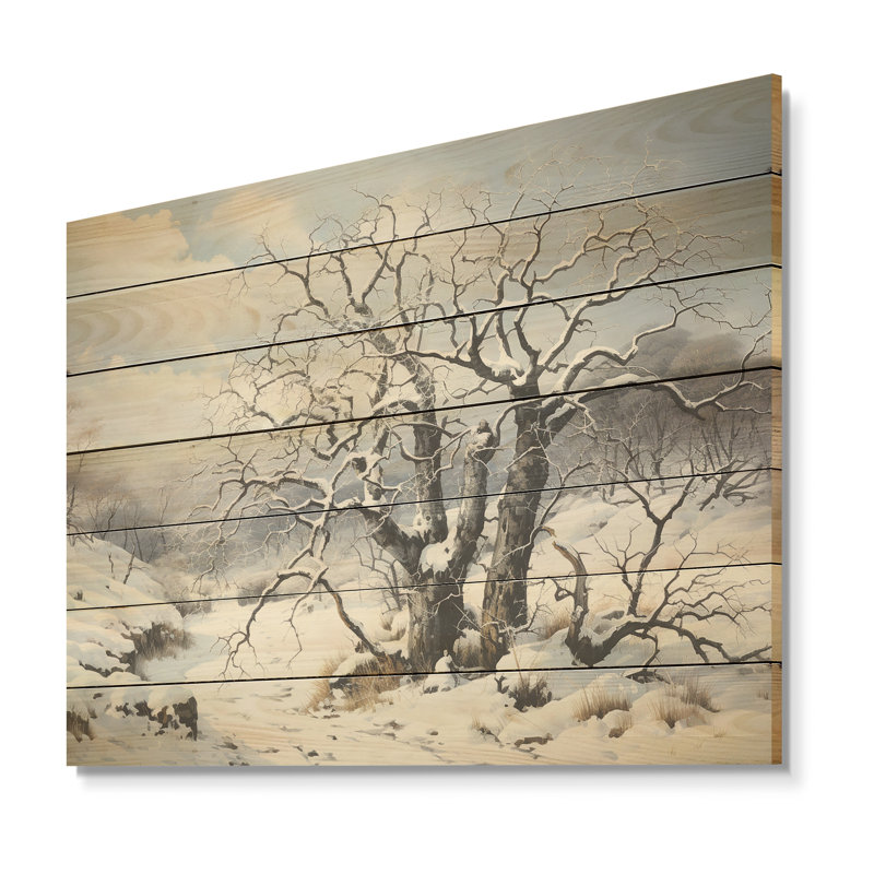 Sycomore Winters Tree I - Sycomore arboricole sur bois, H 10 po x l 20 po