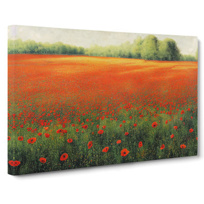 Creative Poppy Field Flowers - Wrapped Canvas