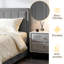 Altgeld Upholstered Ottoman Storage Bed-70181158-100710538