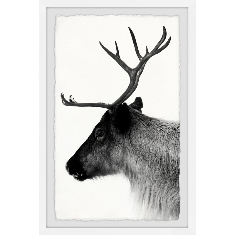 Single Picture Frame Print, 30cm H x 20cm W