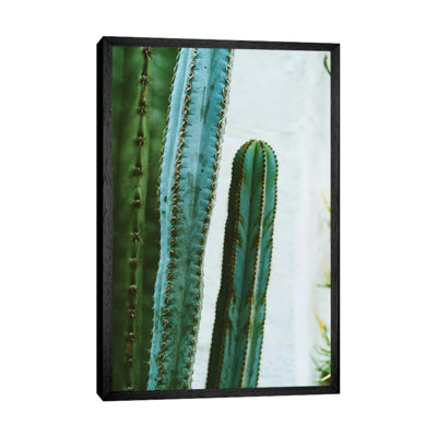 California Cactus Garden II by Bethany Young - Print on Canvas