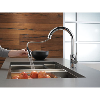 Trinsic Chrome Kitchen Faucet with Pull Down Sprayer, Modern Single Hole Kitchen Sink Faucet, Single Handle, Chrome