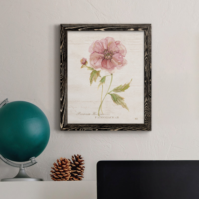 Soft Peony - peinture sur toile encadrée, H 44 po x l 31 po x P 1 po, Noir