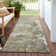 Machine Washable Indoor/Outdoor Claudian ACN1234 Brown Rug