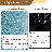 Glass Dining Table Set For 4-1328004840-1328004843-1315969724