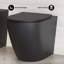 Cuvette de toilette allongée St. Tropez-61836543