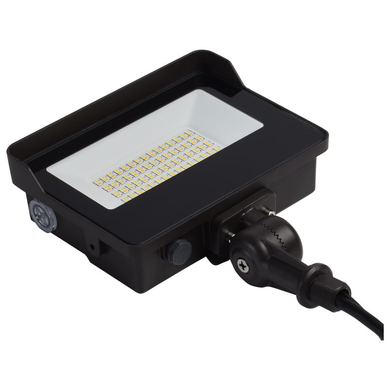 LED Flood Light