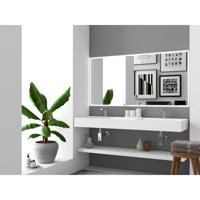 Amelia 60" Double Bathroom Vanity Top with Sink